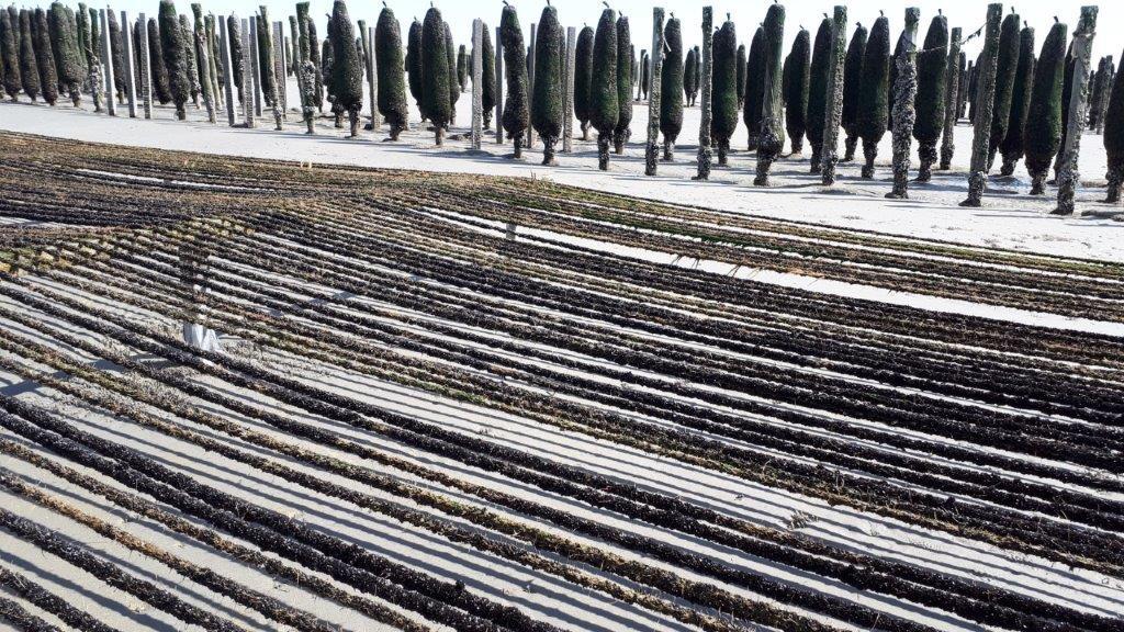 BOURDON Les hirondelles des cavins - Gîtes de France
