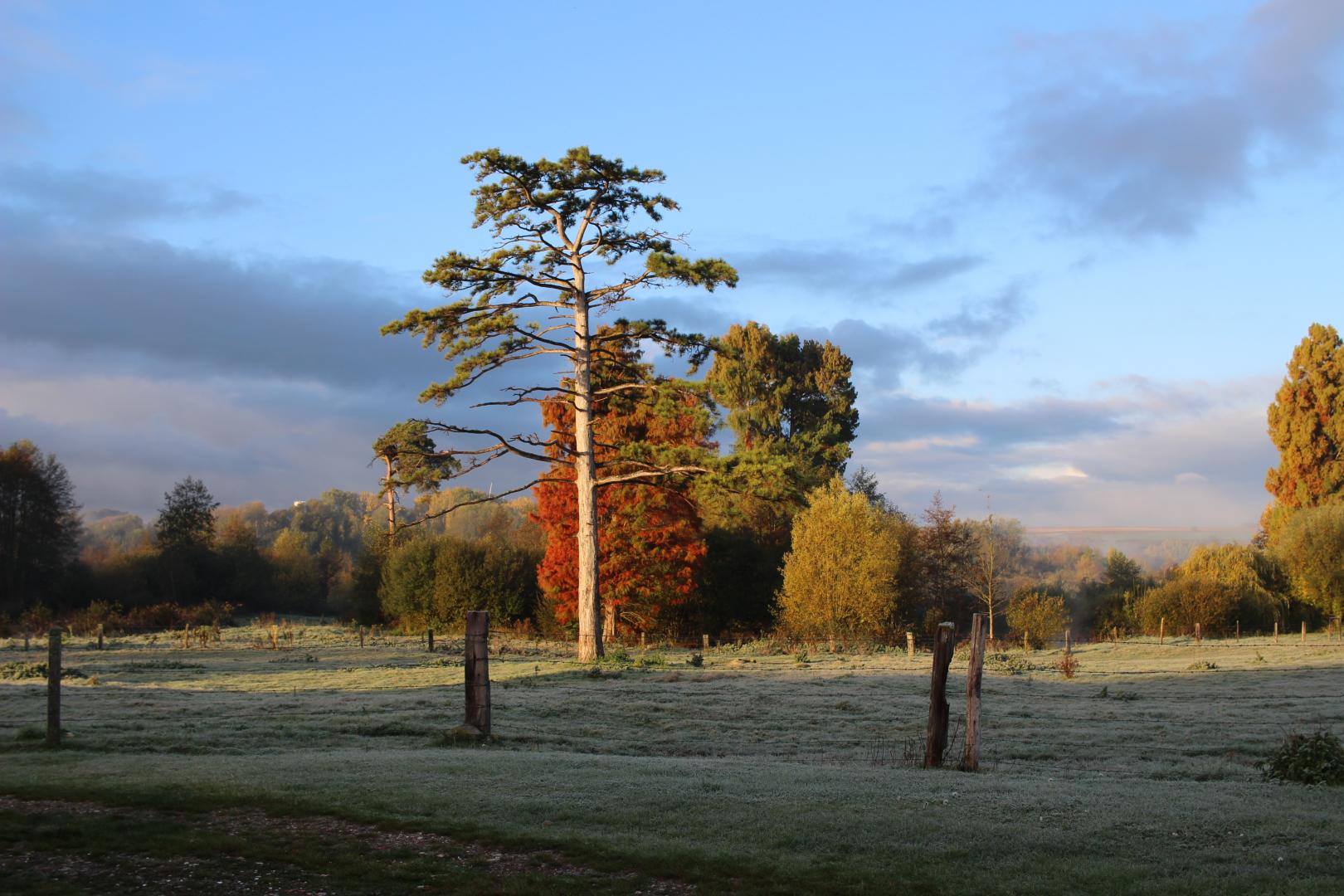 BOURDON Les hirondelles des cavins - Gîtes de France