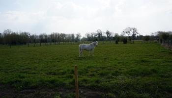 GRAND-LAVIERS La datcha