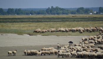 GRAND-LAVIERS La datcha