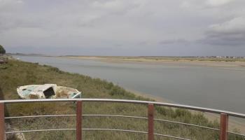 CAMBRON Brume des marais