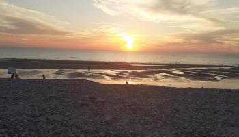 CAMBRON Brume des marais