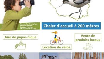 CAMBRON Brume des marais