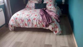 CAMBRON Brume des marais