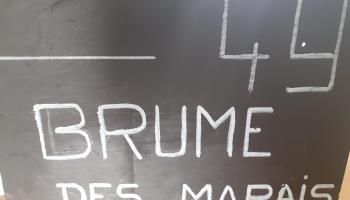 CAMBRON Brume des marais