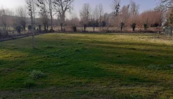 CAMBRON Brume des marais