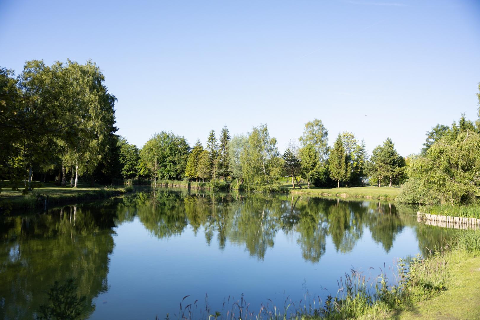 HANGEST SUR SOMME La menthe à grenouille - Gîtes de France