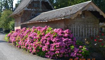 CAOURS Le Scardon et la Drucat