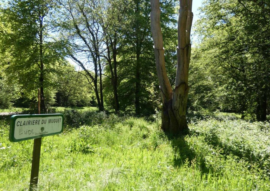 FOREST-L'ABBAYE Commune de Forest-L'Abbaye