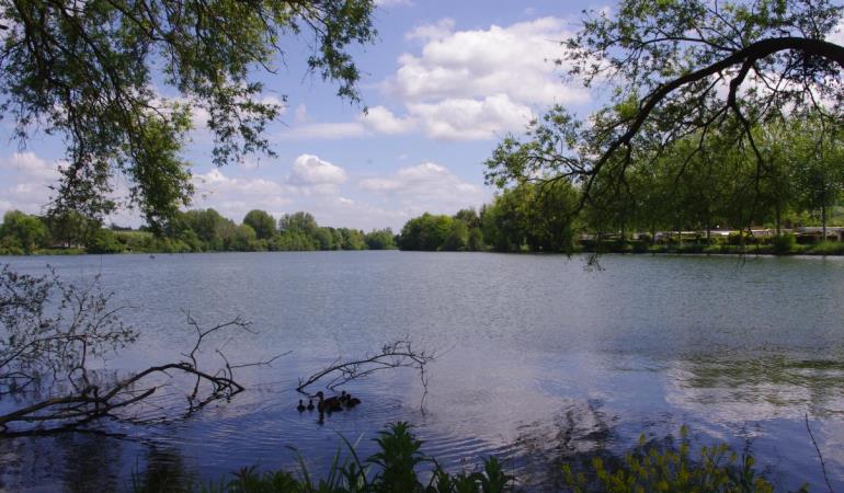 BOUVAINCOURT-SUR-BRESLE A l'orée des étangs