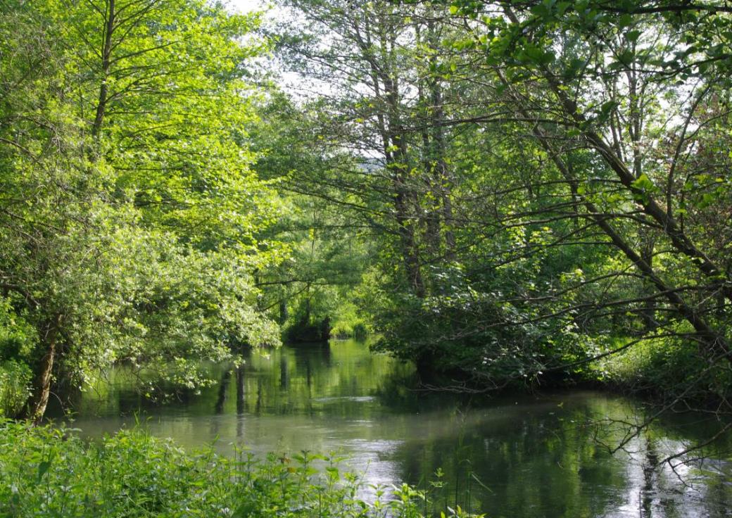 BOUVAINCOURT-SUR-BRESLE A l'orée des étangs