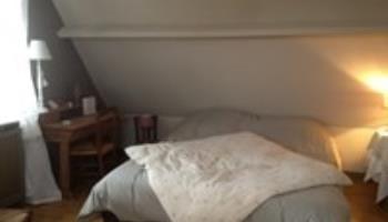 DRUCAT Le jardin d'Adèle