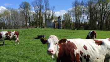 EAUCOURT SUR SOMME SEALOV