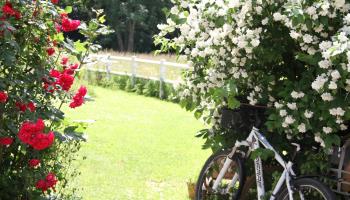 EPAGNETTE Aires en Scènes: Le loft Love