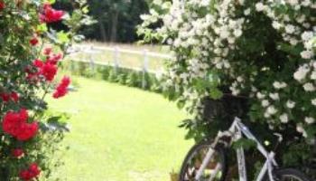 EPAGNETTE Aires en Scènes: Le loft Love