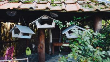 EPAGNE-EPAGNETTE Aires en scène : La Cavalière