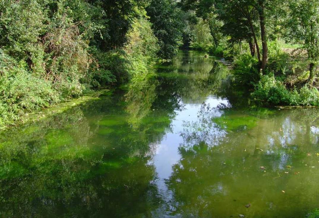 La Vallée de l'Avre_lac_Moreuil_Somme_Picardie