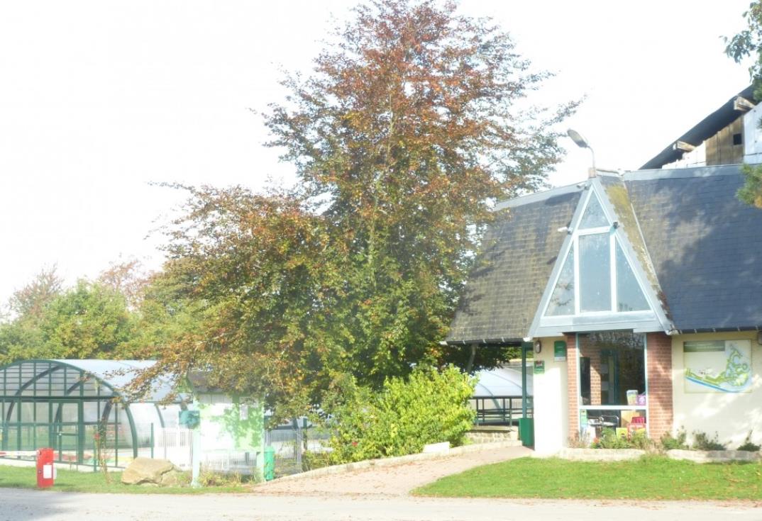 La Ferme de Bouzencourt_accueil piscine_Le Hamel_Somme_Picardie
