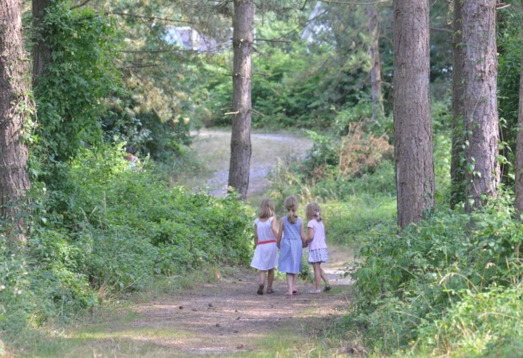 Domaine de Diane_promenade bois_Quend_Somme_Picardie