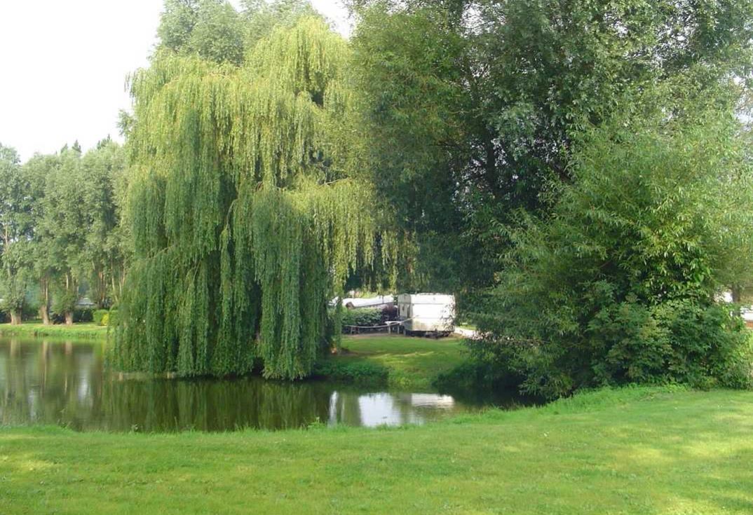 Le Marais_lac2_Noyelles Sur Mers_Somme_Picardie