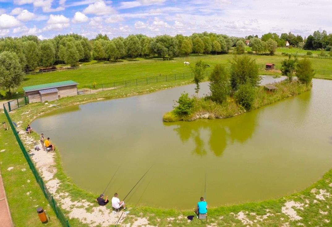 Les Roses_étang pêche_Quend_Somme_Picardie