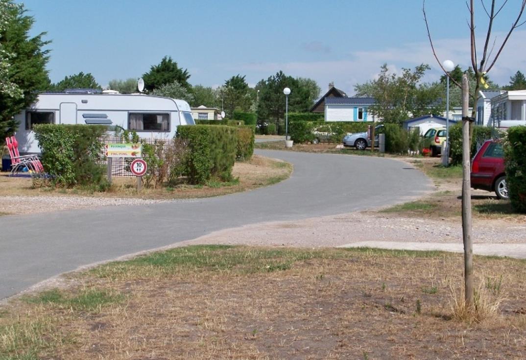 Le Bois de Pins_allee_Cayeux_Somme_Picarde
