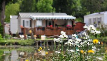 Les Puits tournants_fleur_Sailly Le Sec_Somme_Picardie