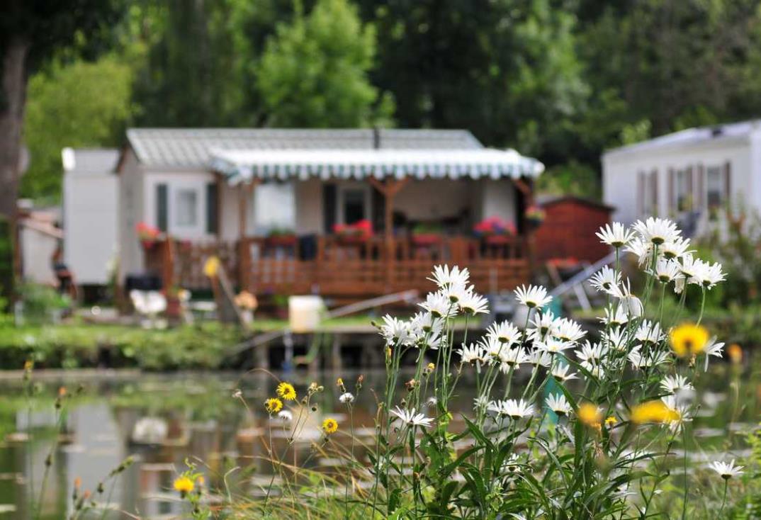 Les Puits tournants_fleur_Sailly Le Sec_Somme_Picardie