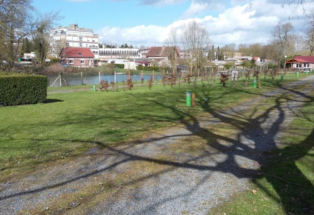 Camping le Brochet_allée_Péronne_Somme_Picardie