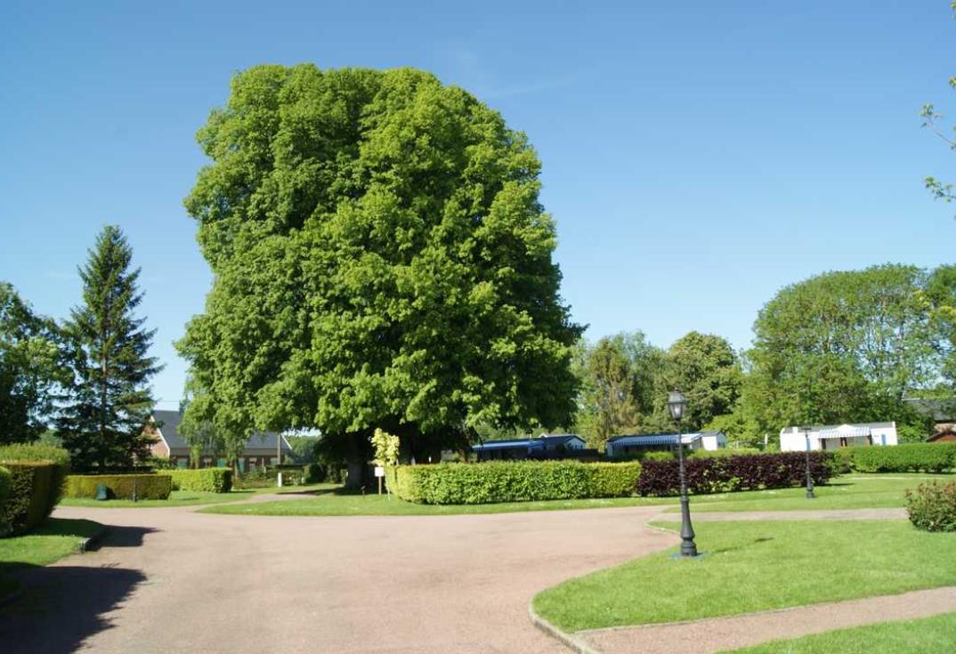 Camping du Château et de l'Oseraie_ext2_Feuillères_Somme_Picardie