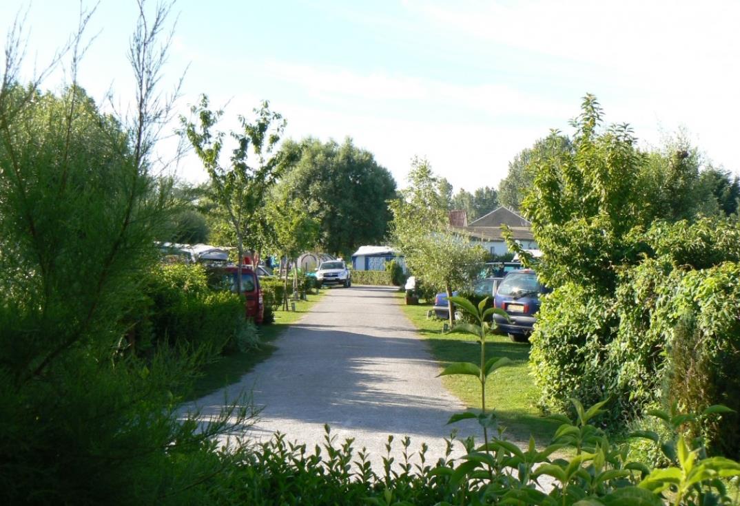Le Vert Gazon_allee_Fort Mahon_Somme_Picardie
