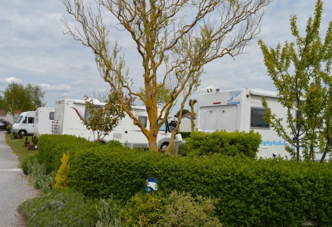 Le Vert Gazon_emplacement camp cars_Fort Mahon_Somme_Picardie