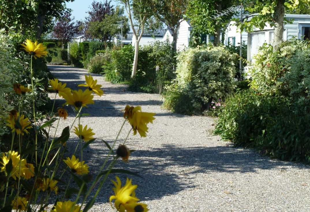 La Côte Picarde_allée_Le Crotoy_Somme_Picardie