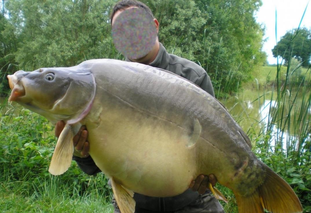 La Grenouillère_carpiste_Frise_Somme_Picardie