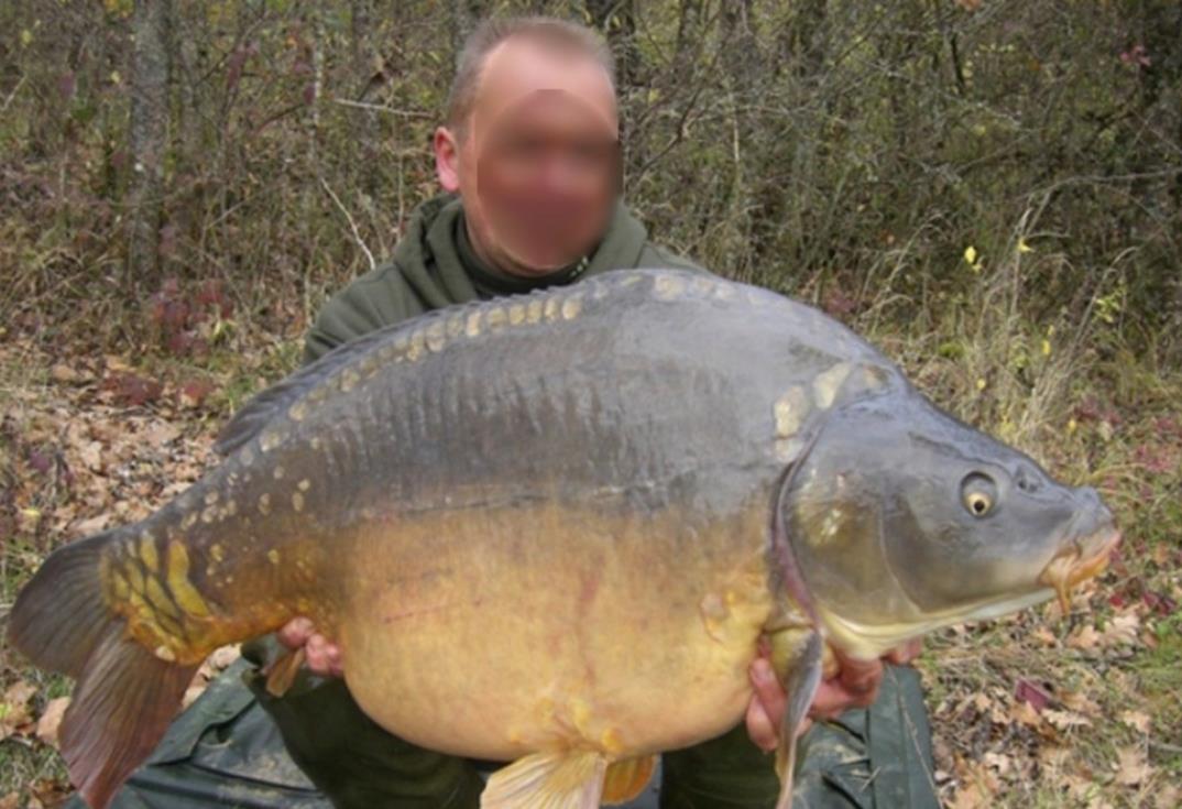 La Grenouillère_carpiste2_Frise_Somme_Picardie