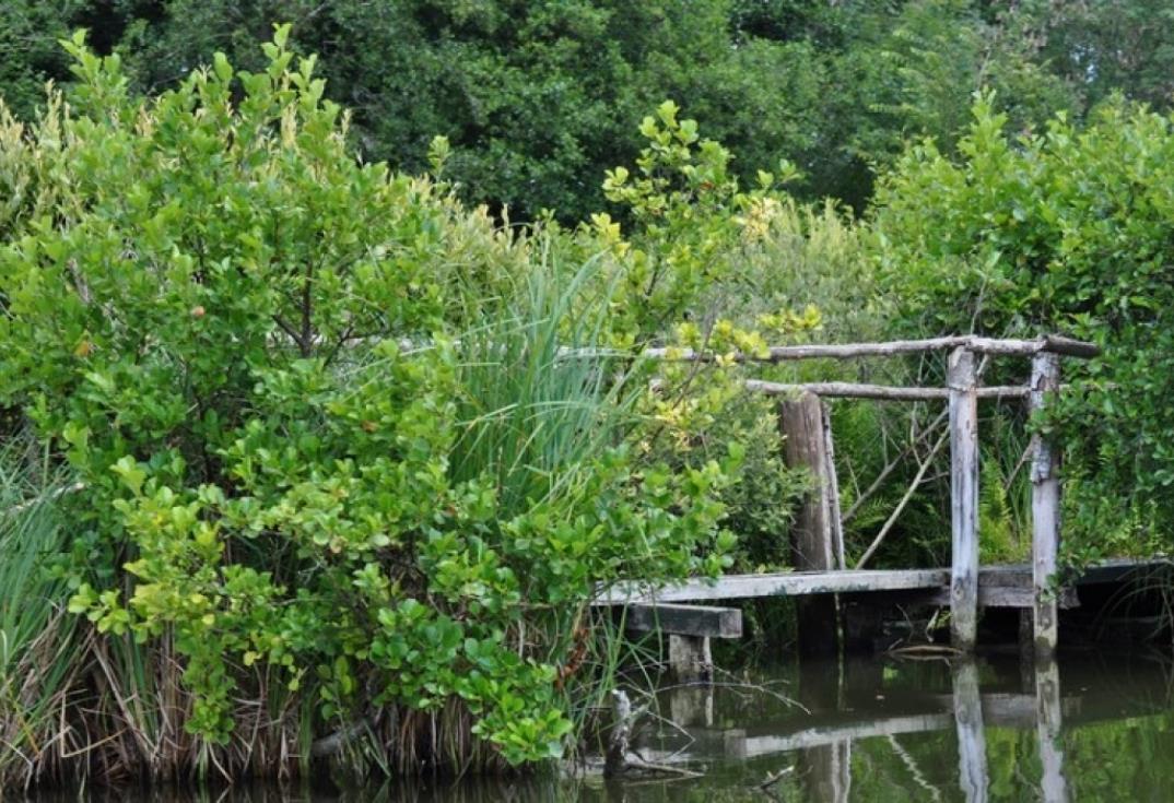 La Grenouillère_passerelle etang_Frise_Somme_Picardie