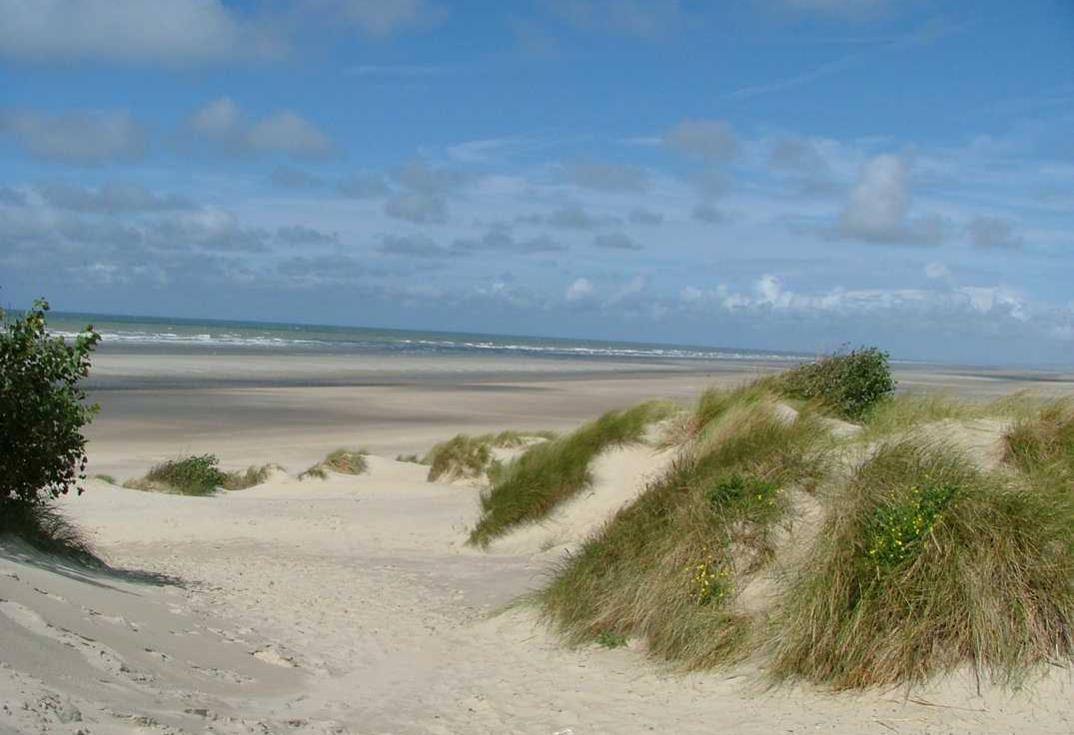 Flower Camping les Vertes Feuilles_dune_Quend_Somme_Picardie