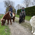 Ecuries de Macquigny 