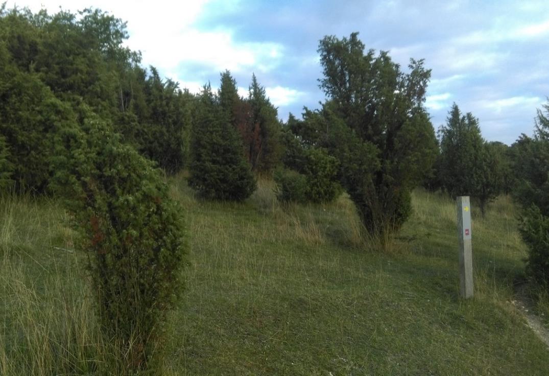 Larris-Montagne-de-Montenoy-06
