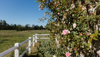 Les Aires en Scène 4