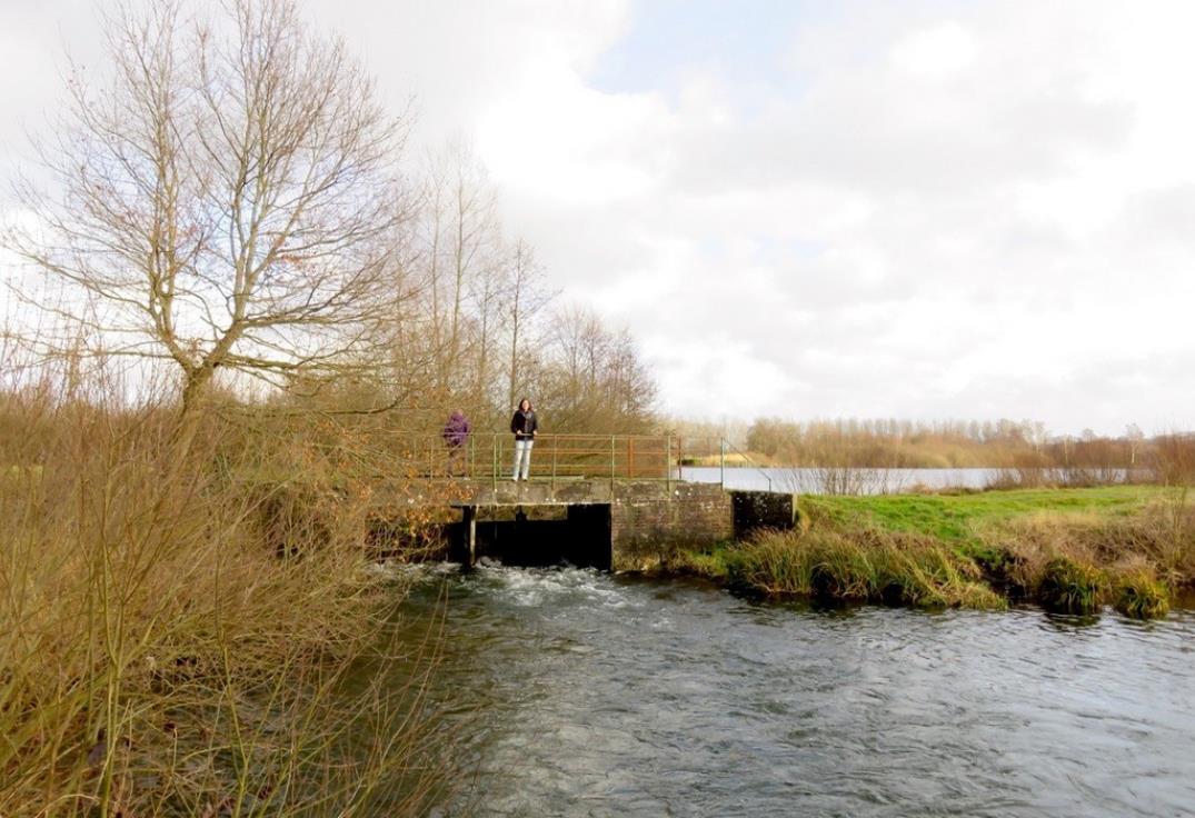 Les-voyeuls_pont©ADRT80-MTestu