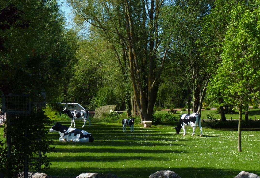 OTBaiedeSomme_LesVaches_Estréboeuf