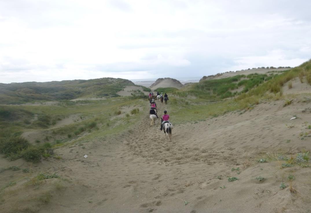 Balade en poney