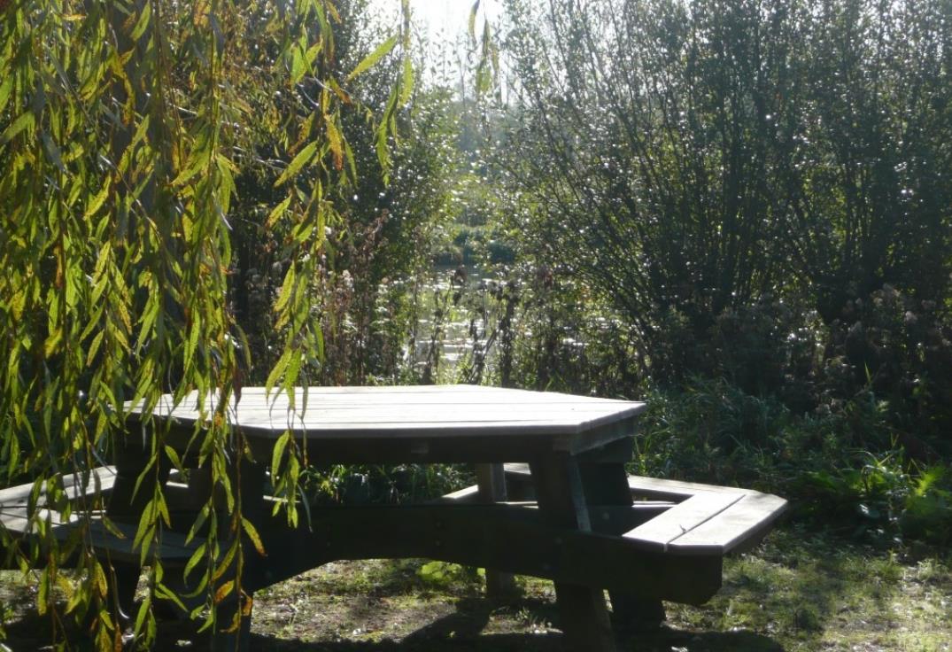 _MaraisdesCavins_Bourdon_Somme_Picardie)