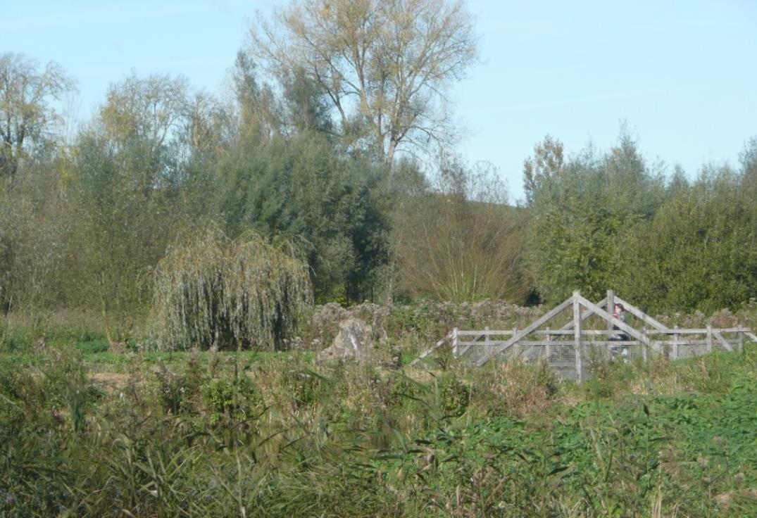  _MaraisdesCavins_Bourdon_Somme_Picardie