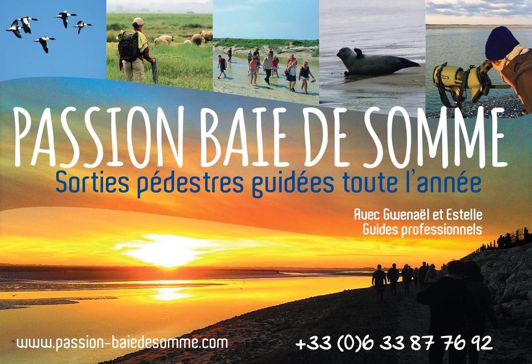Passion Baie de Somme