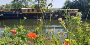 Peniche Jessy's_vallée de Somme