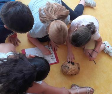 Pour les 8-12 ans : Les ateliers archéologie et préhistoire... Le 30 oct 2024