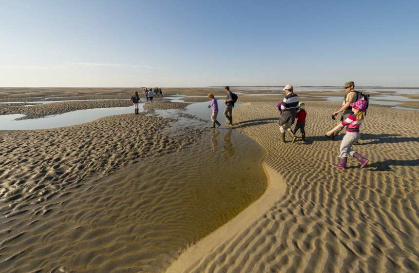 An organised walk across the Somme bay is a must on your family weekend break in Northern France