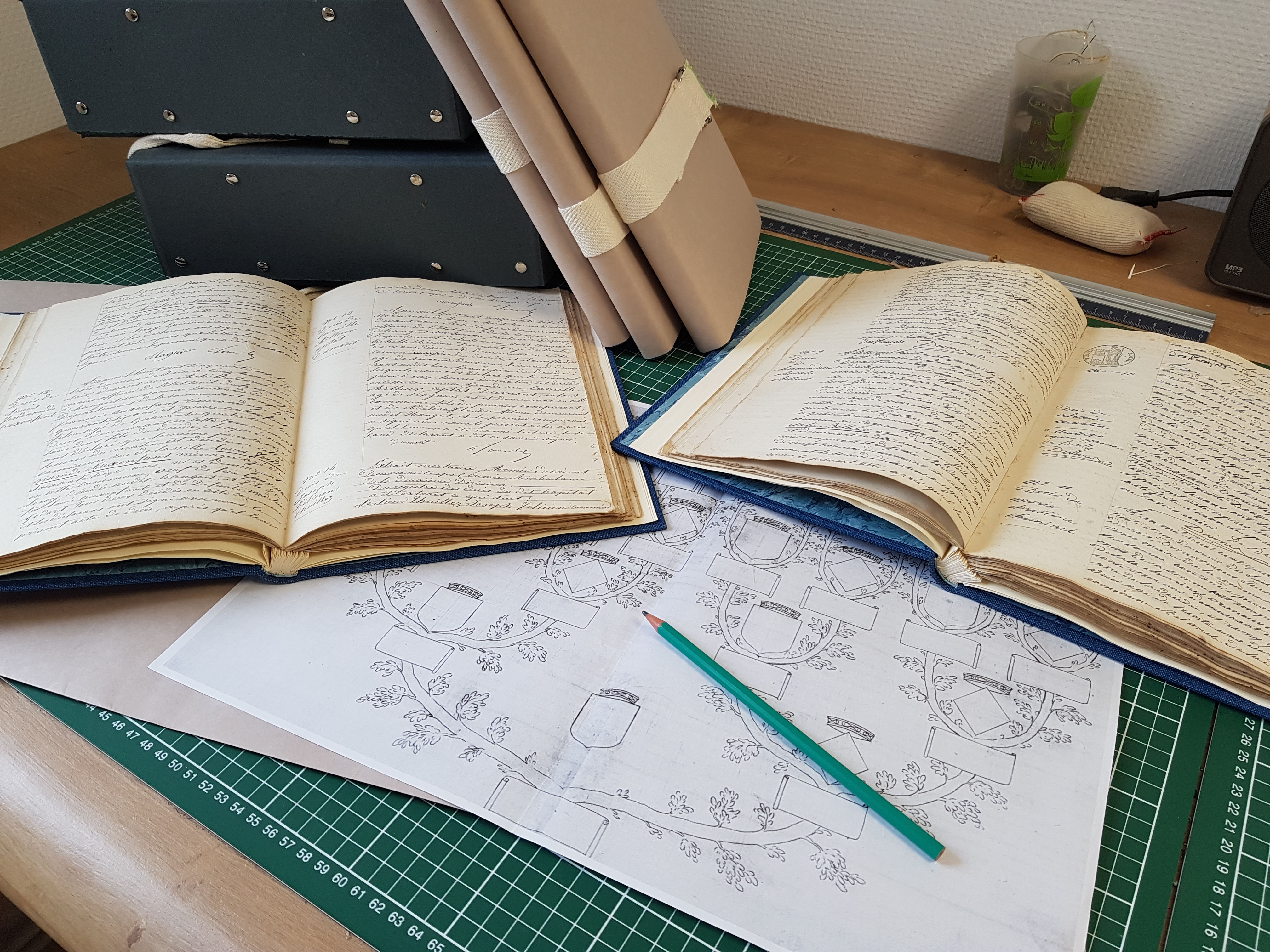 archives ccns - @CCNS